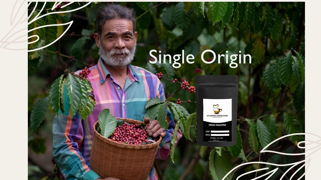 Our Ethically Sourced Single-Origin Coffee, Freshly Roasted Premium Beans For You
